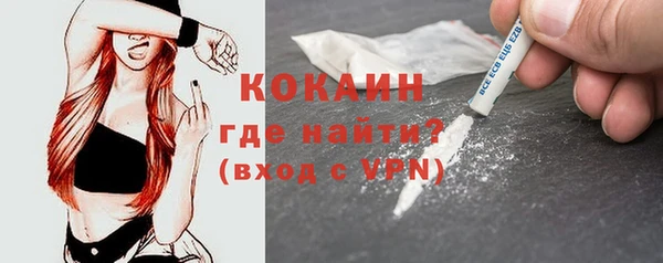 mdpv Бородино
