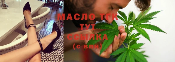 mdpv Бородино