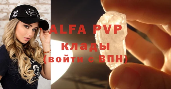 mdpv Бородино
