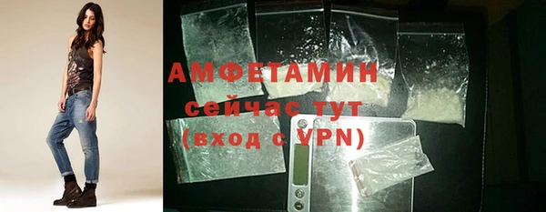 mdpv Бородино