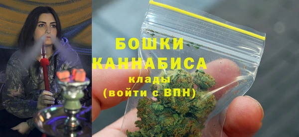 mdpv Бородино