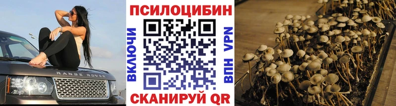 Псилоцибиновые грибы прущие грибы  как найти наркотики  ОМГ ОМГ маркетплейс  Крым 